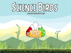 Juego Science Birds en línea
