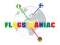 Juego Flags Maniac en línea