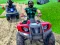 Juego Quad Bike Off Road Racing en línea