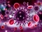 Juego Coronavirus Puzzle en línea