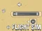 Juego Flight Sim en línea