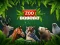 Juego ZOO Trivia en línea