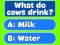 Juego Trivia! Best Family Quiz en línea