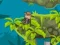 Juego Indi Cannon Players Pack en línea