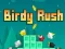 Juego Birdy Rush en línea