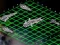 Juego Intergalactic Battleships en línea