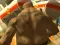 Juego Monster Simulator en línea