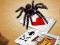 Juego Jumping Spider en línea