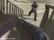 Juego Western:Invasion en línea
