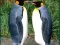 Juego Penguin Puzzle en línea