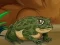 Juego Frogs Matching en línea