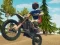 Juego Dirt Bike Enduro Racing en línea