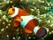 Juego Underwater Hidden Numbers en línea