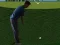 Juego Flash Golf 3D en línea