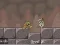 Juego Roly-Poly Eliminator 2 en línea