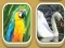 Juego Match Zoo en línea