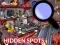 Juego Hidden Spots In The Room en línea