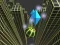 Juego Marble Rolling Stunt en línea