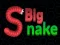 Juego Big Snake.io en línea