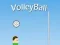 Juego VolleyBall en línea