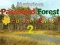 Juego Mysterious Password Forest Autumn Edition 2 en línea