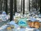 Juego Winter Wonderland Forest Adventure en línea