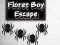 Juego Floret Boy Escape en línea