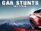 Juego Car Stunts Sky Tour en línea