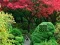 Juego Maple Leaf Garden Escape en línea