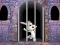 Juego Victory Rabbit Escape en línea