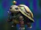 Juego Isolated Turtle Escape en línea