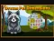 Juego Dream Pet Dimensions en línea