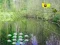 Juego Sunlight Forest Adventure en línea