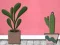 Juego Find Houseplant en línea
