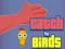 Juego Catch the Birds en línea