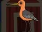Juego Cute Godwit Escape en línea