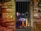 Juego Hidden Cat Escape en línea