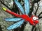 Juego Escape From Dragonfly Forest en línea