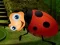 Juego Rescue The Couple Bug en línea