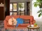 Juego Wakeup The Grandpa en línea