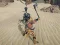 Juego The Scythian Warrior en línea
