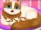 Juego Cute Kitty Pregnant en línea