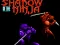 Juego Shadow of the Ninja en línea