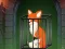 Juego Fox in the Forgotten Ruins en línea