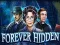 Juego Forever Hidden en línea