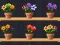 Juego Good Flower Master en línea