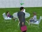 Juego Millionaire Simulator 2024 en línea