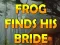 Juego Frog Finds His Bride en línea