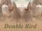 Juego Double Bird en línea