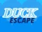 Juego Duck Escape en línea